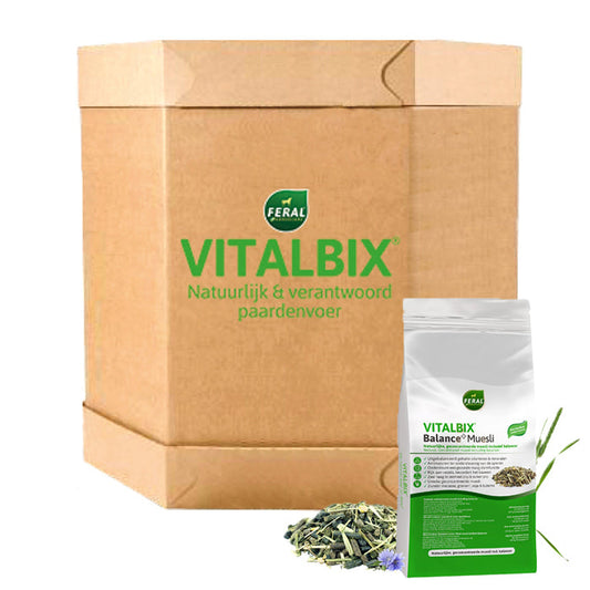 Vitalbix - XL Box Balance+ Muesli
