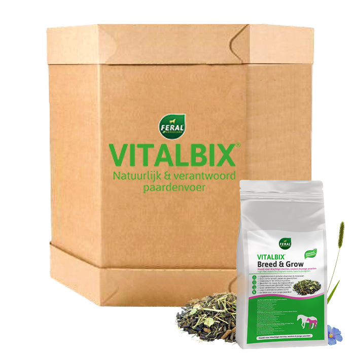 Vitalbix - XL Box Breed & Grow