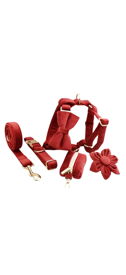 Dierenshop Lady - Hondentuigje set Lovely