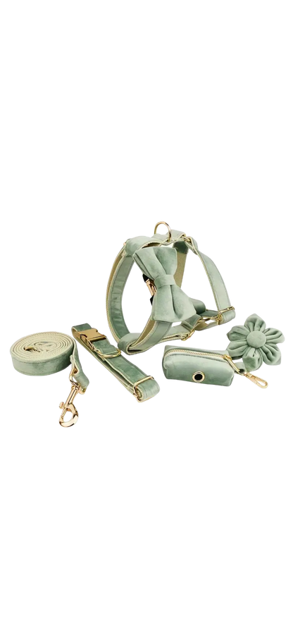 Dierenshop Lady - Hondentuigje set Lovely