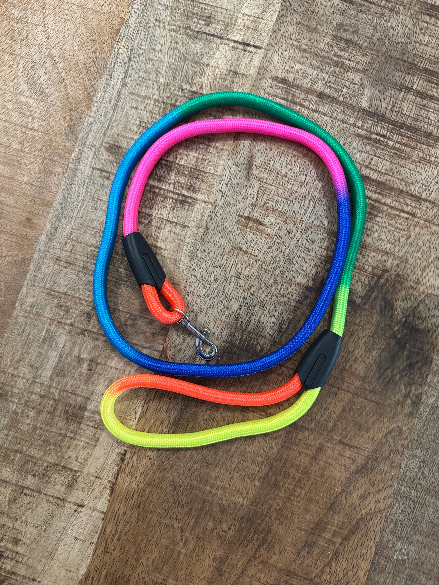 Tuigje met riem regenboog