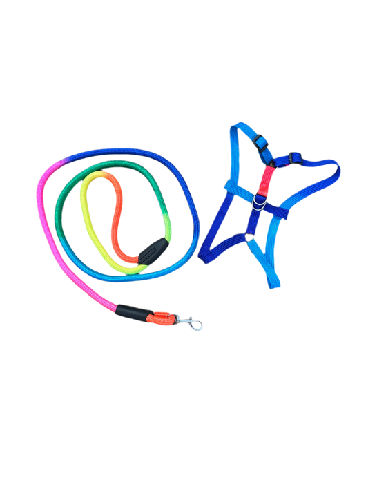 Tuigje met riem regenboog