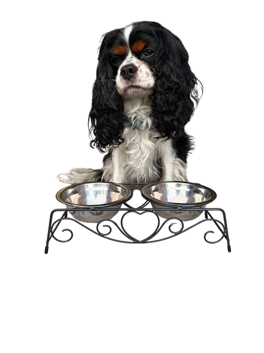 Honden voerbak kleine honden