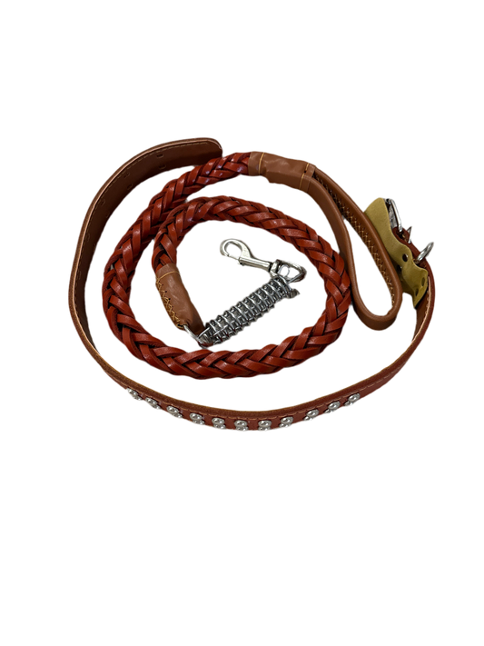Honden halsband en riem boomer