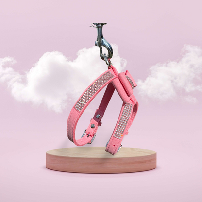 Dierenshop Lady - Tuig Missy