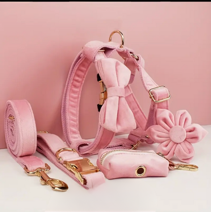 Dierenshop Lady - Hondentuigje set Lovely