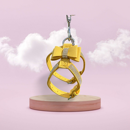 Dierenshop Lady - Tuig Missy