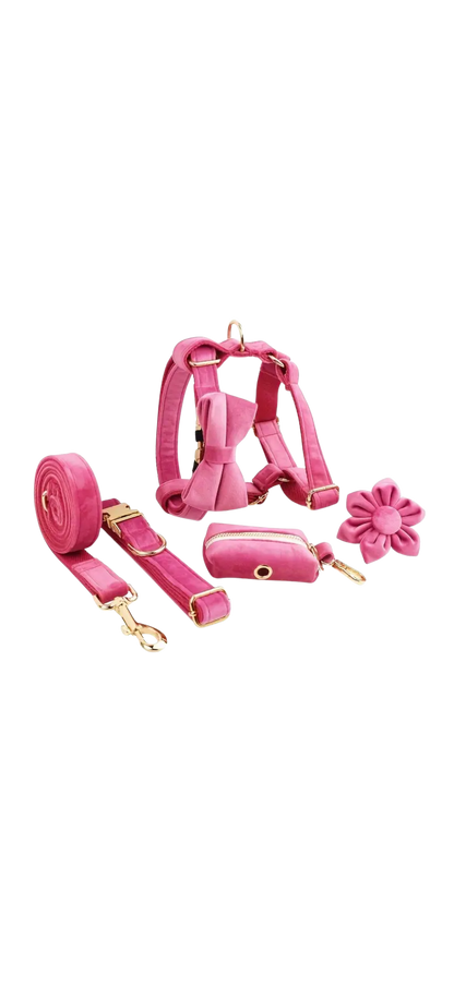 Dierenshop Lady - Hondentuigje set Lovely