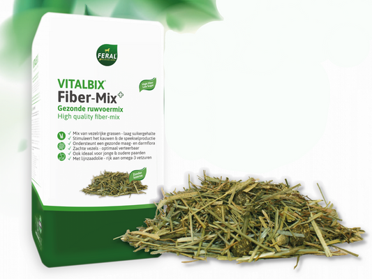 Vitalbix - Fiber Mix