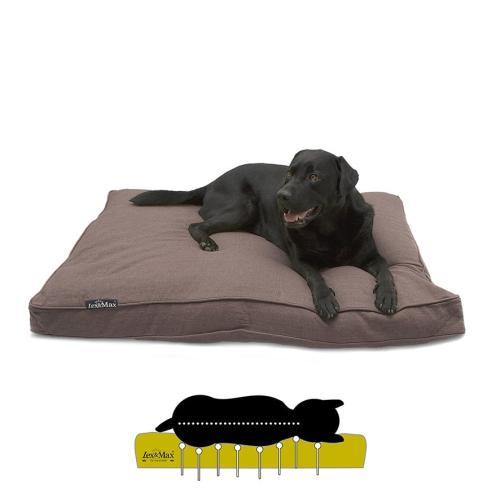 Lex & Max Boxbed Maxima Orthopedic