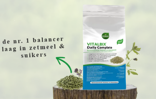 Vitalbix - Daily Complete