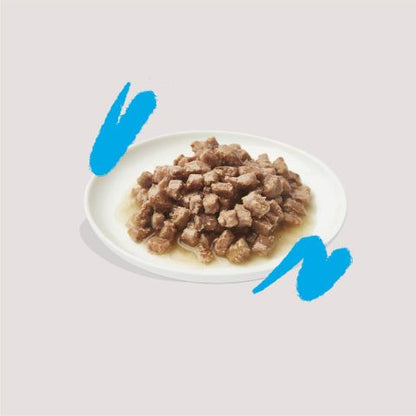 Edgard & Cooper - MSC Salmon and Free-Run Chicken chunks in sauce