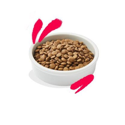 Edgard & Cooper - Senior Fresh Free-Range Chicken and Turkey with blueberries, nettle leaf and sage