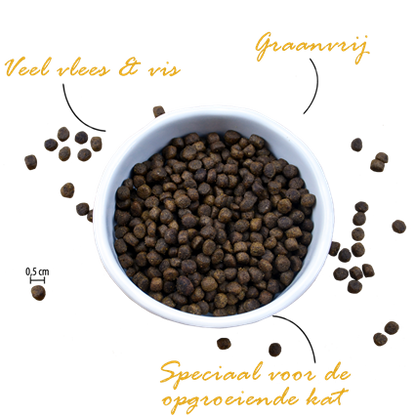 Riverwood - Kitten Chicken/Duck/Salmon