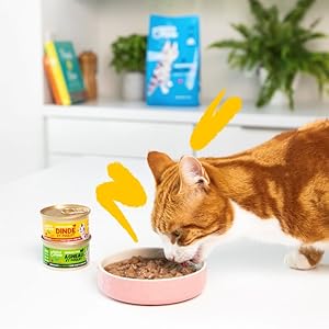 Edgard & Cooper - Senior Free-Run Chicken and Turkey chunks in sauce