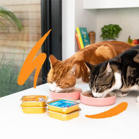Edgard & Cooper - MSC Salmon and Free-Run Chicken paté