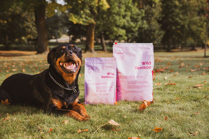 BUDDY - Wild Venison