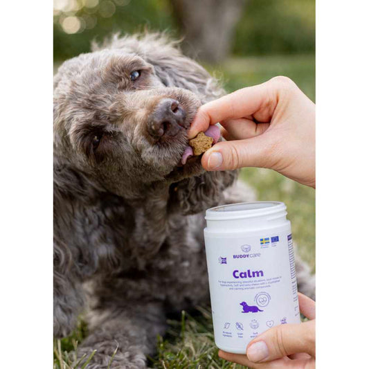 BUDDY - Care Calm