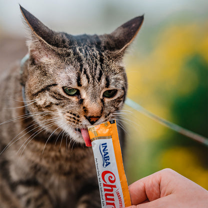 Inaba - Churu Salmon with Chicken 4 Tubes