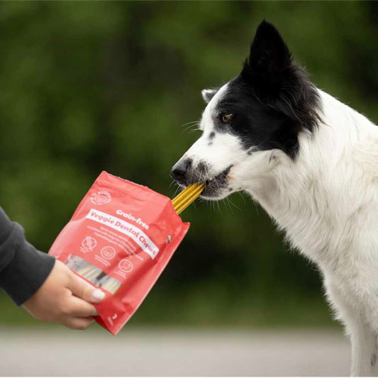 BUDDY - Grain-Free Veggie Dental Chews - M 10 x 200 gr