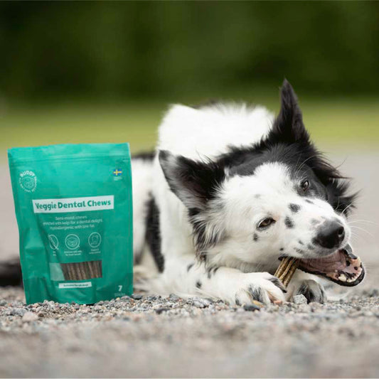 BUDDY -  Veggie Dental Chews - M 10 x 200 gr