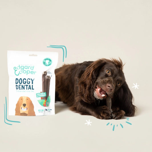Edgard & Cooper - Doggy Dental Strawberry & Mint