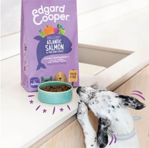 Edgard & Cooper - Puppy Fresh Atlantic Salmon & Free-run Turkey with pear, pumpkin, and apple