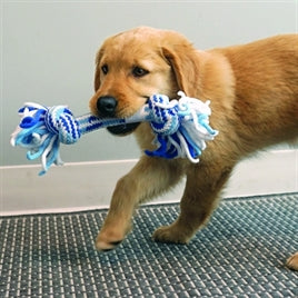 KONG ROPE STICK Flostouw Puppy