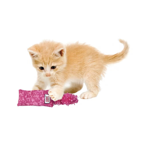 KONG Kickeroo Kitten