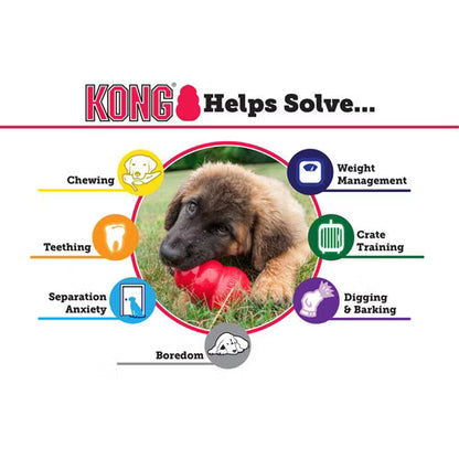 KONG Puppy S