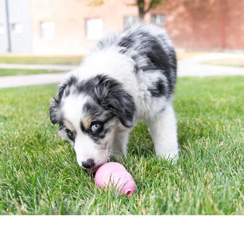 KONG Puppy S