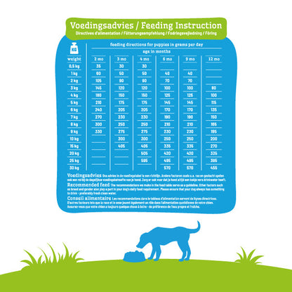 Smølke - Puppy Mini/Medium