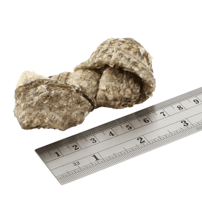 Fish4Dogs - Dental Sea Jerky Fish Knots