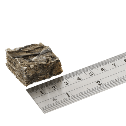 Fish4Dogs - Dental Sea Jerky Fish Squares