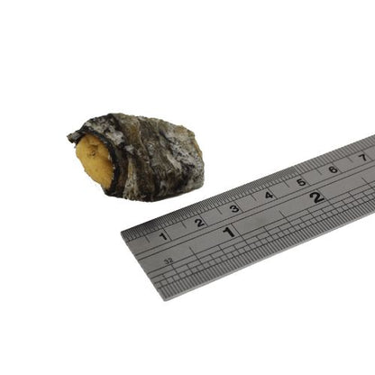 Fish4Dogs - Love Banana Fish Wraps