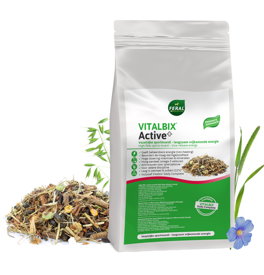 Vitalbix - Active+