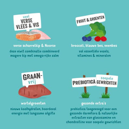 Edgard & Cooper - Senior Fresh Free-Run Chick & Norwegian Salmon with broccoli, blueberry, cranberry & cowberry - Dierenshop Lady