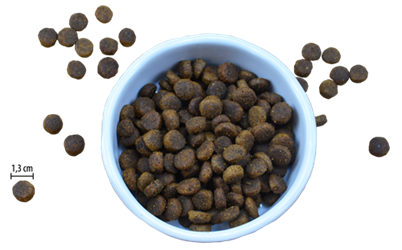 Riverwood - Adult LB Cats Duck/ Turkey/Chicken