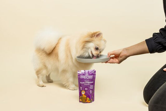 Little Big Paw - Duck with vegetable