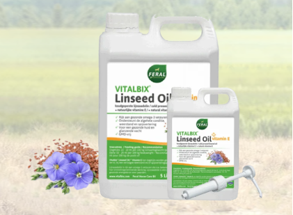 Vitalbix - Linseed Oil + Vitamin E