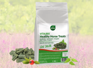 Vitalbix - Healthy Horse Treats Brandnetel