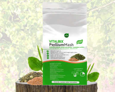 Vitalbix - PsylliumMash