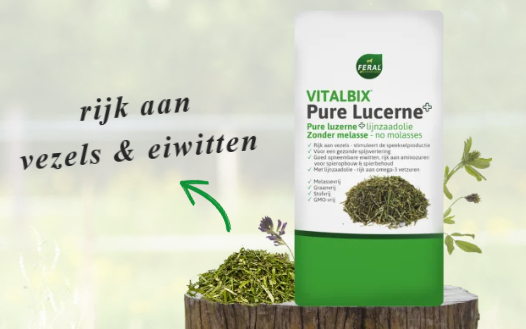 Vitalbix - Pure Lucerne+