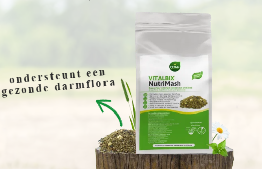 Vitalbix - NutriMash